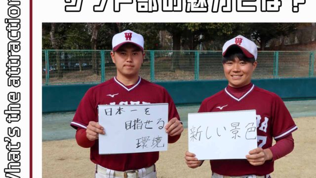 【連載】ソフトボール部新歓対談  第6回 本キャン組 稲井宏平男子部副将×齋藤向陽