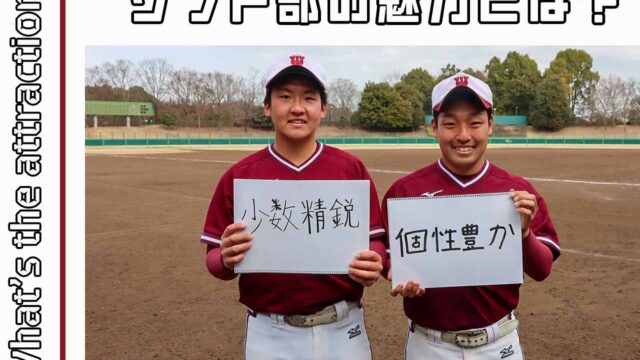 【連載】ソフトボール部新歓対談  第７回 幹部組 荒川健祐男子部主将×山崎祐太郎