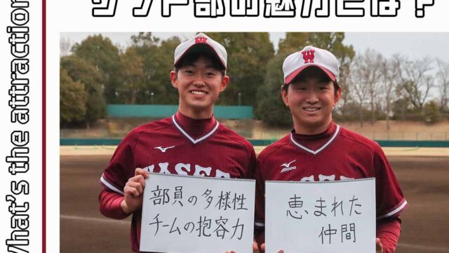 【連載】ソフトボール部新歓対談 第５回 留学組 佐藤貴一×中島雄太