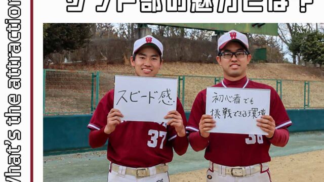 【連載】ソフトボール部新歓対談　第１回　野球上がり組　川崎晴×小出拓実