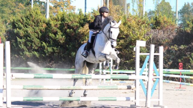 「最初から最後まで馬に助けられてばかりでした」（板橋主将）/４年生引退コメント集