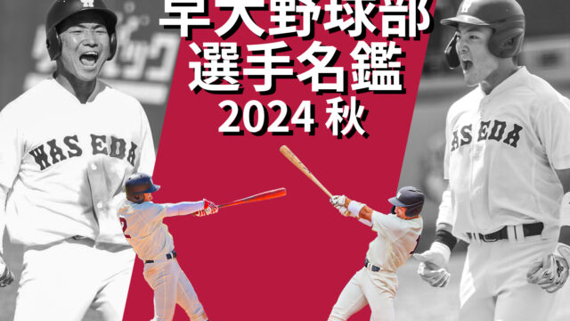 2024年秋　野球部選手名鑑