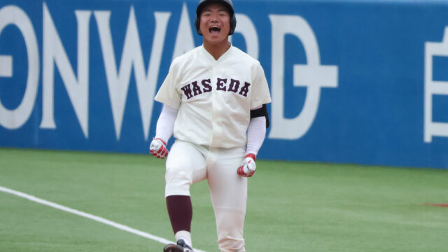 2024年秋　野球部選手名鑑　内野手編