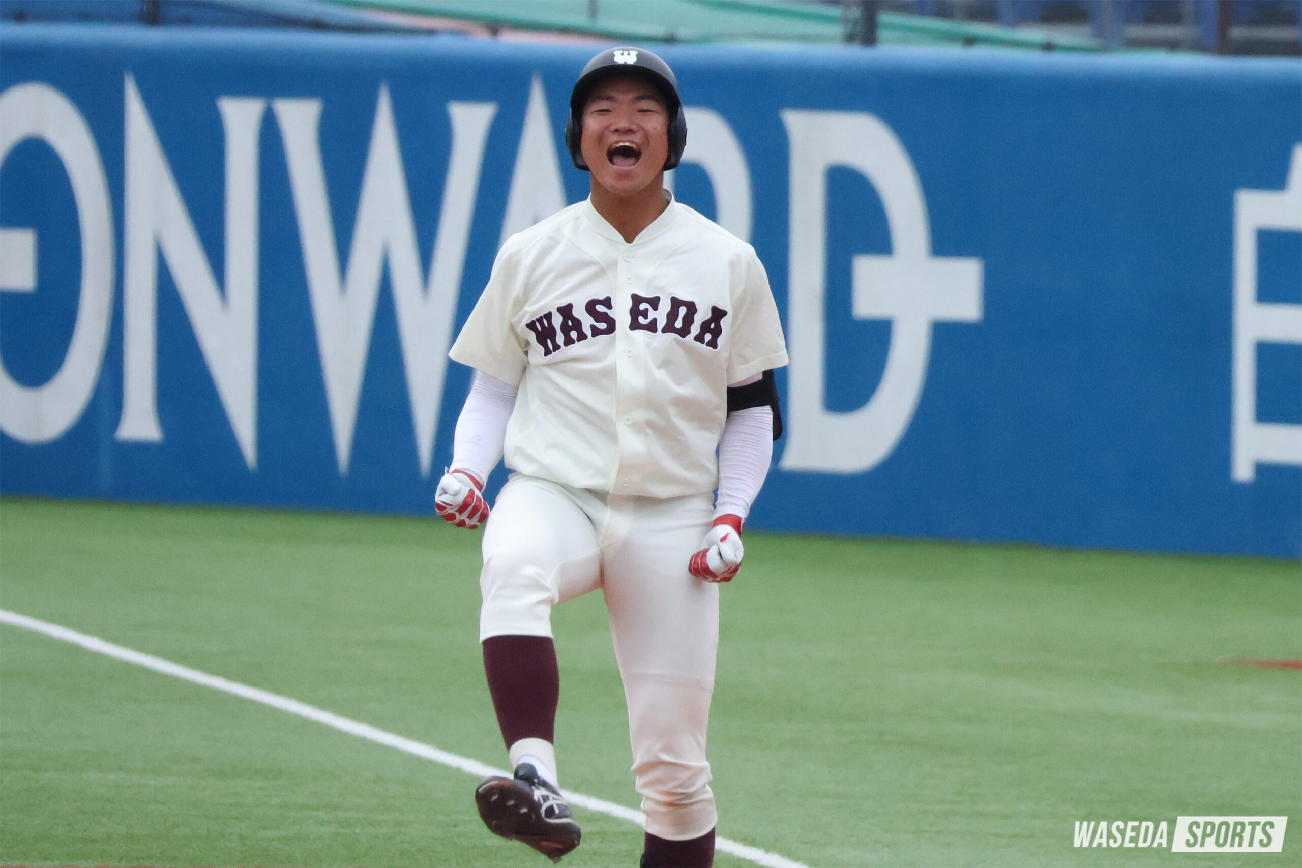 2024年秋 野球部選手名鑑 内野手編 | 早稲田スポーツ新聞会