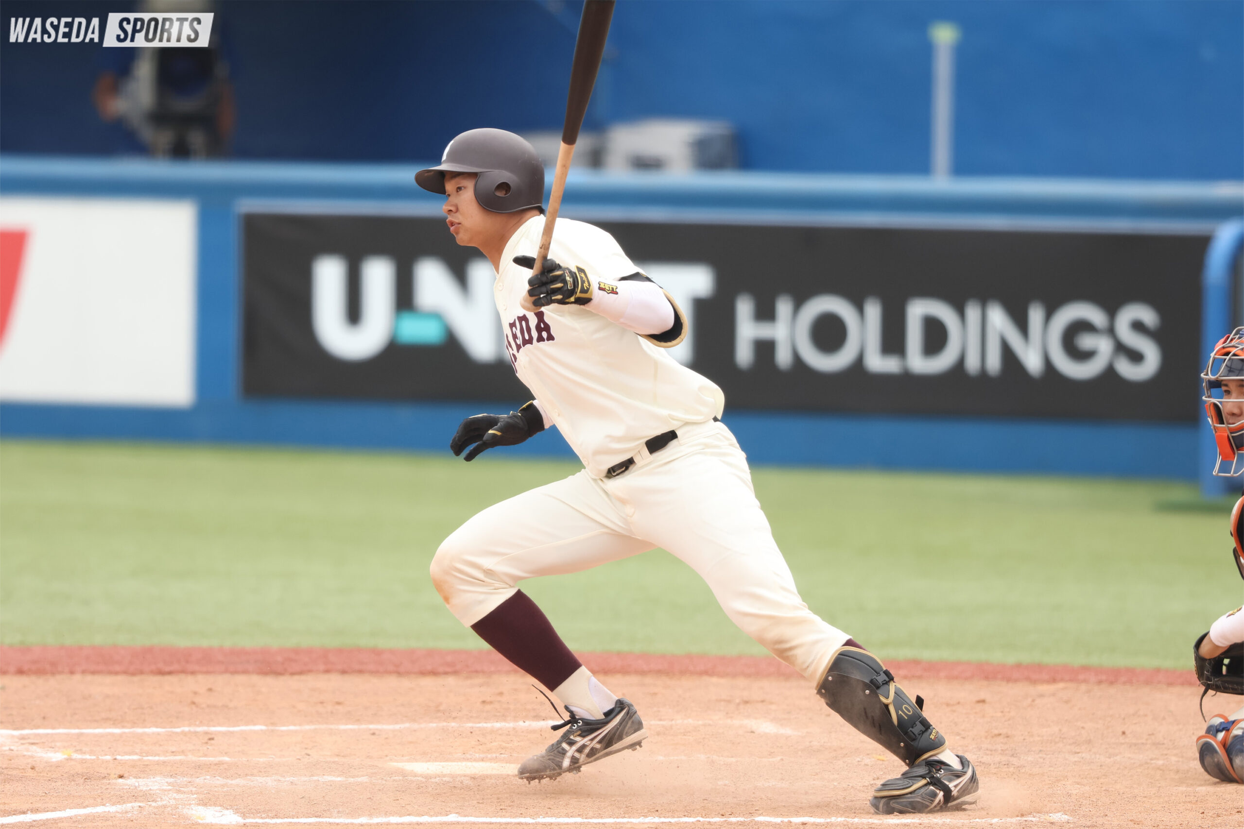 2024年秋 野球部選手名鑑 捕手編 | 早稲田スポーツ新聞会