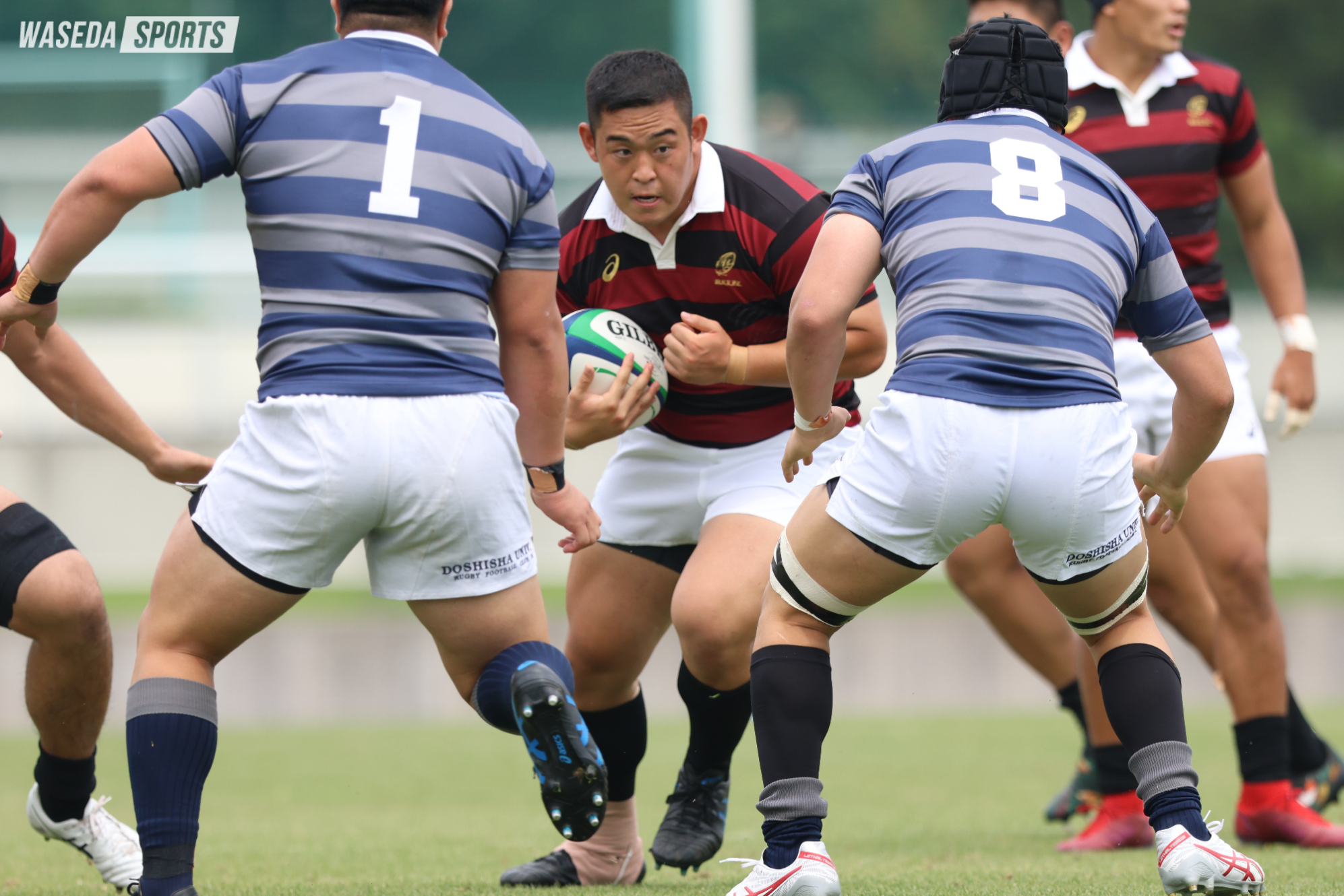 Amazon | 明治大学 ラグビー部 公式戦用 メンバー ラグビー