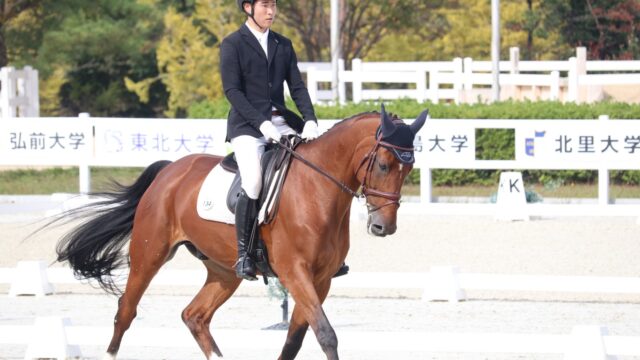 【馬術】圧巻　細野が総合馬術個人３連覇！