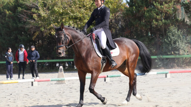 【連載】『令和７年度卒業記念特集』第13回　船田大翔／馬術